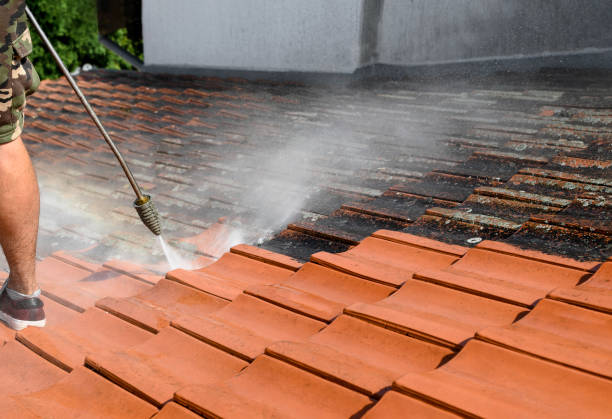 Best Roof Power Washing Services  in Oceanside, CA
